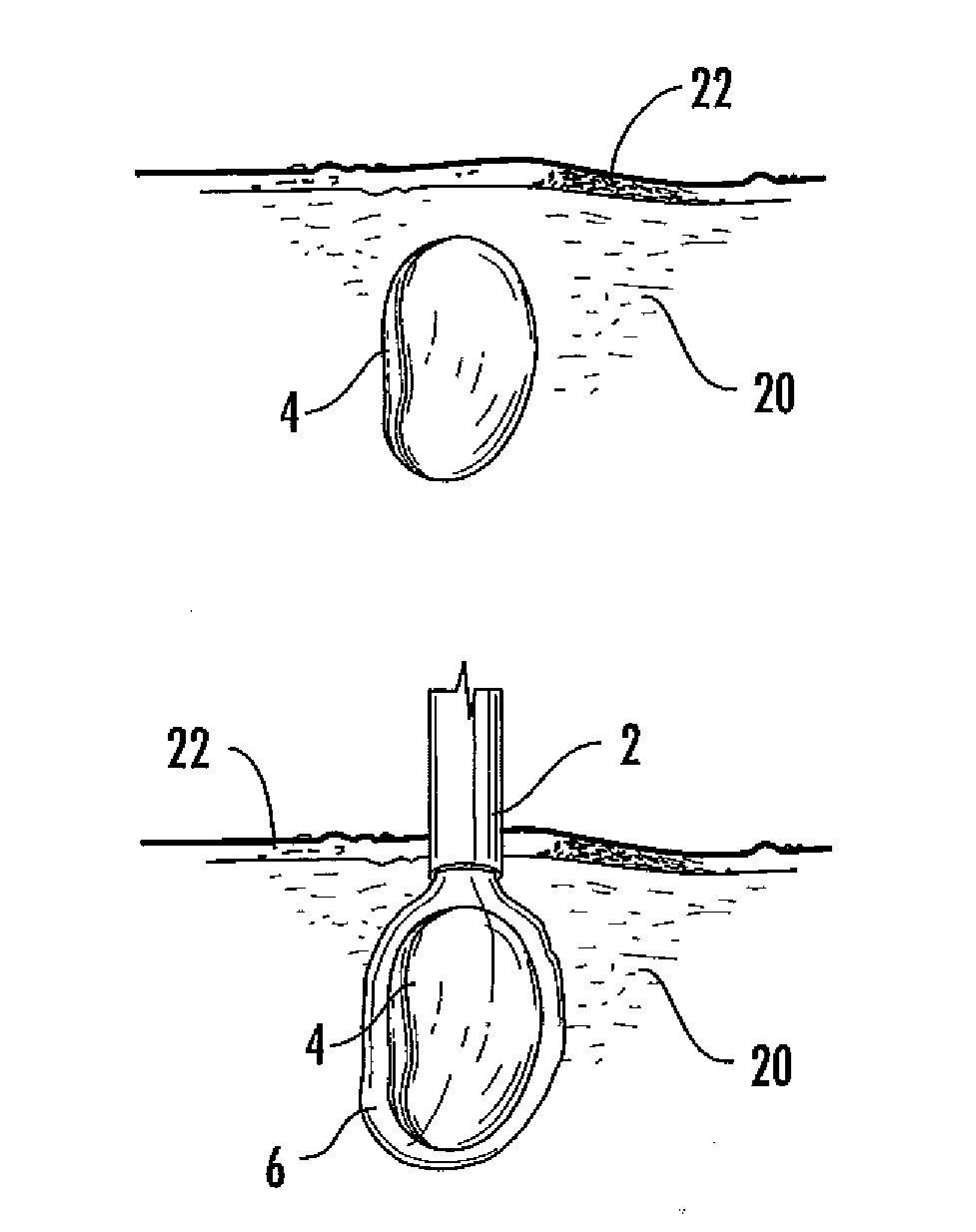 Plant hydration method and composition