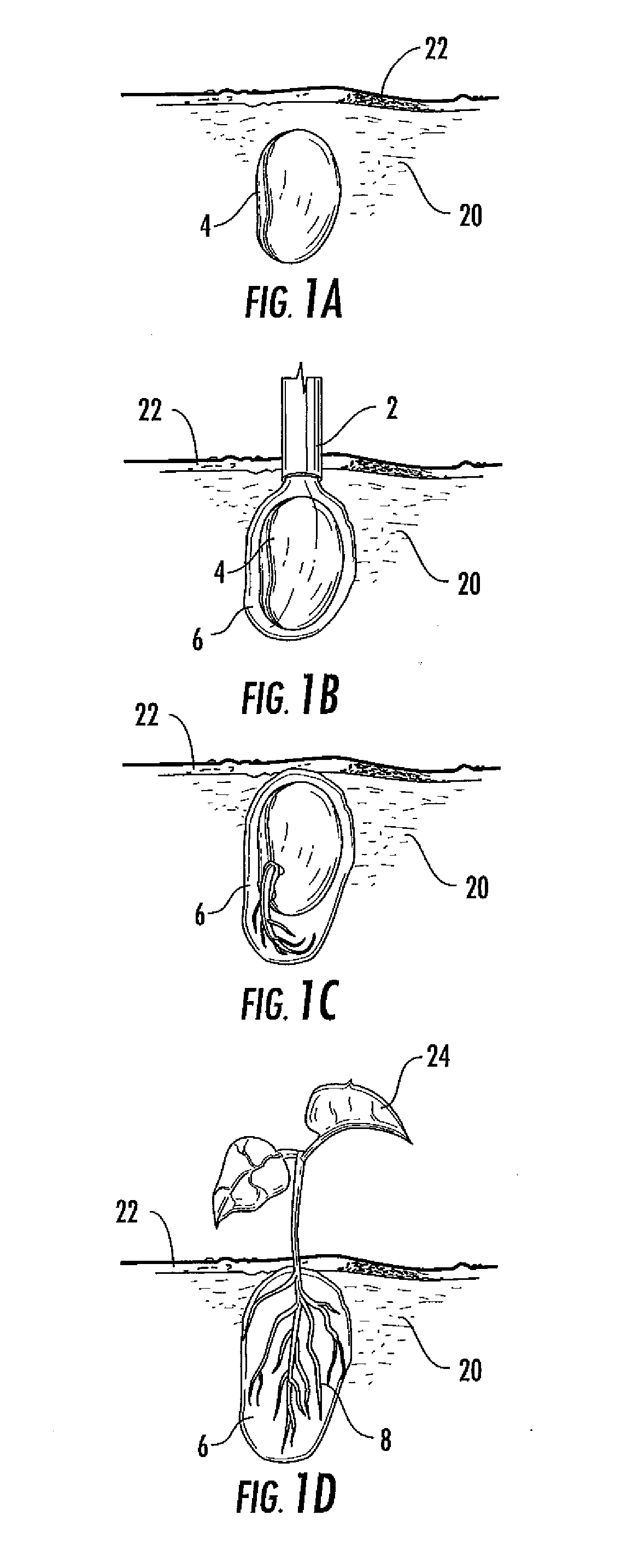 Plant hydration method and composition