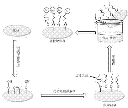 Method for preparing antimicrobial medical polymer material