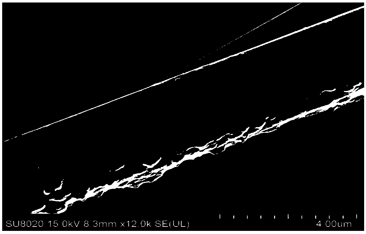 Visible light-responsive N, B co-doped In2O3/TiO2 precursor, and preparation method and application thereof