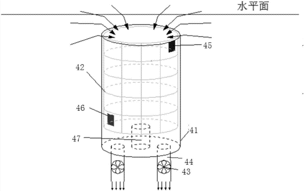 Algae salvaging and collecting device