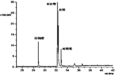 Extraction method of millet bran crude oil