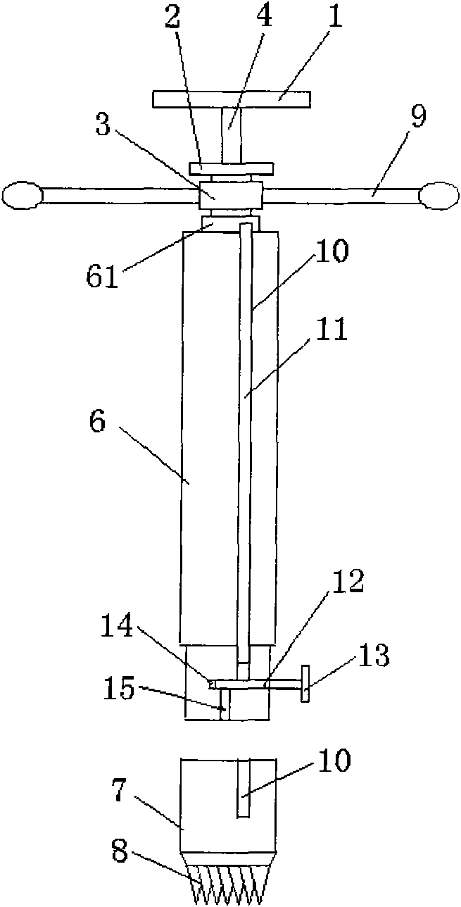 Soil constant-volume sampling device