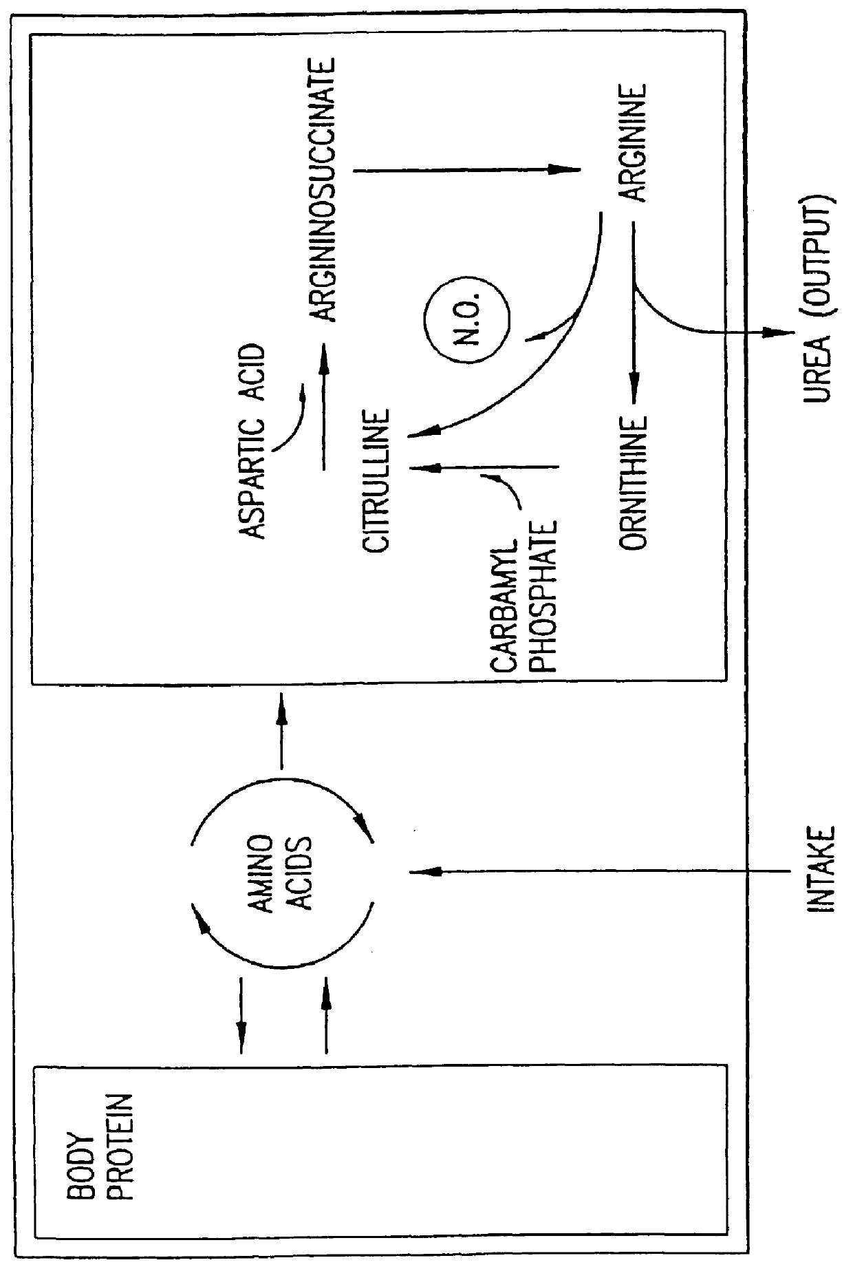 Guanylhydrazones and their use to treat inflammatory conditions