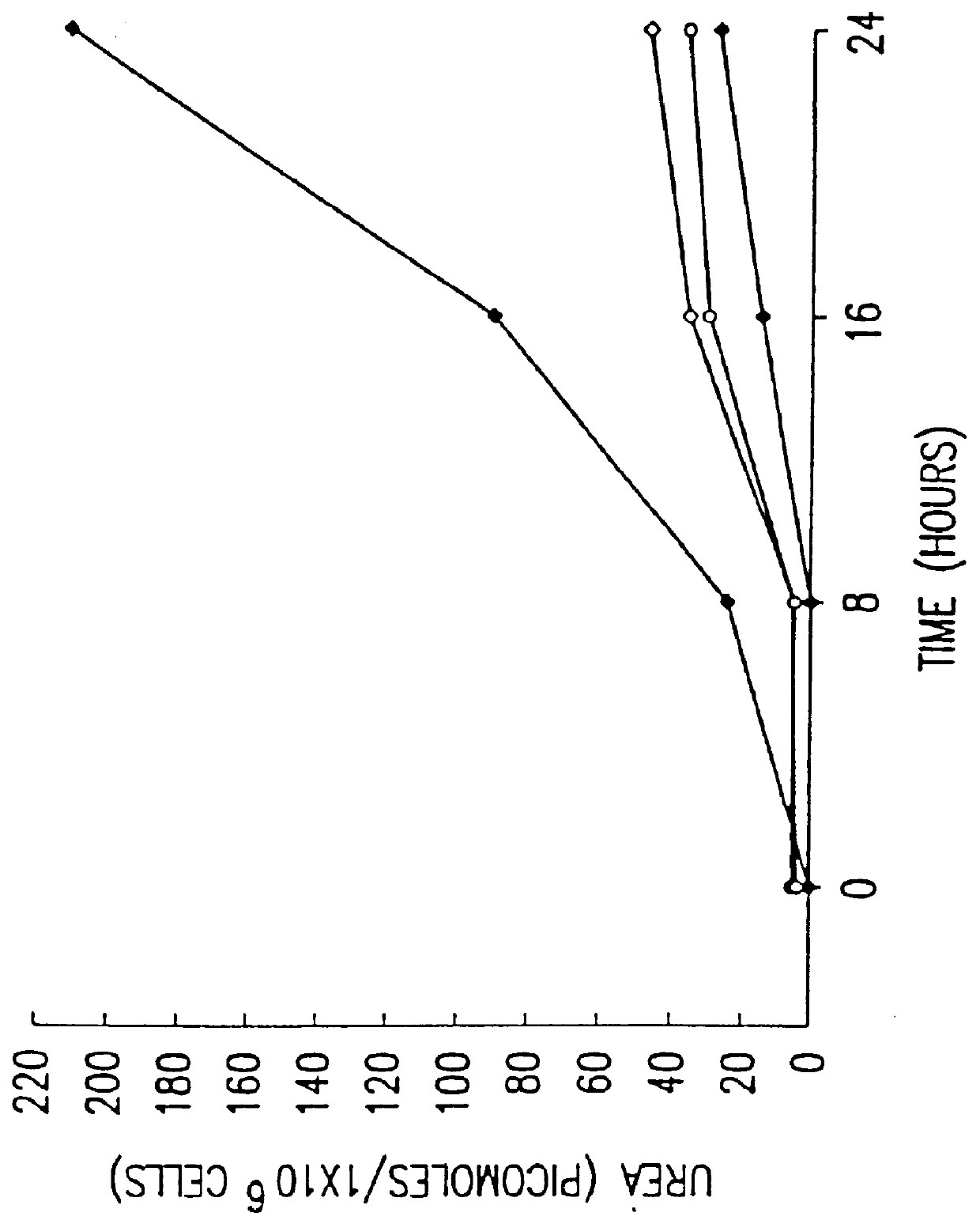 Guanylhydrazones and their use to treat inflammatory conditions