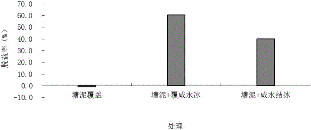 Northern coastal saline and alkaline land rapid fertilizing method