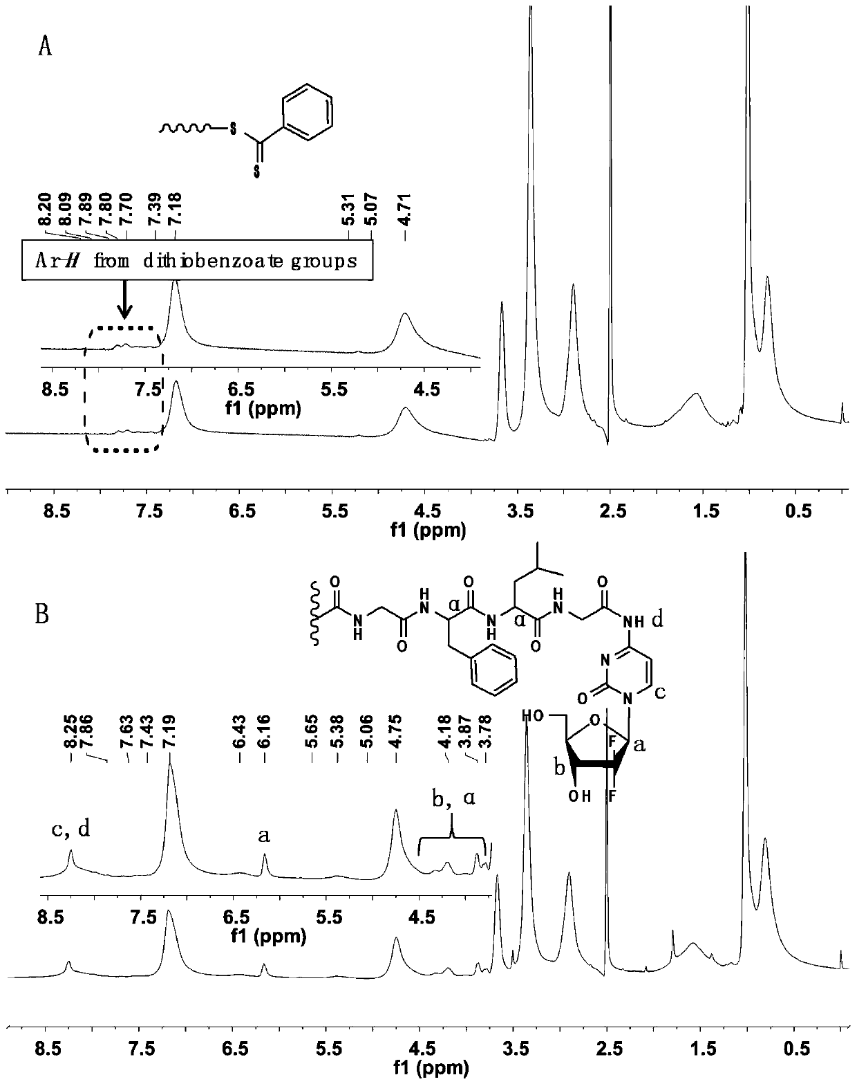 Degradable amphiphilic block hpma polymer drug delivery system stimulated by tumor microenvironment and preparation method thereof