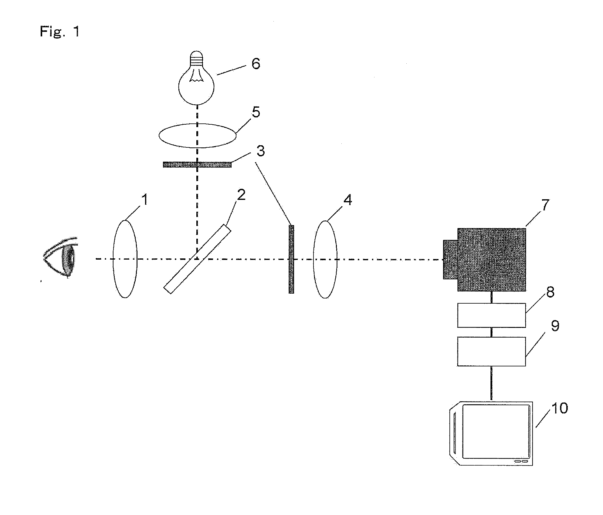 Meibomian gland observing device