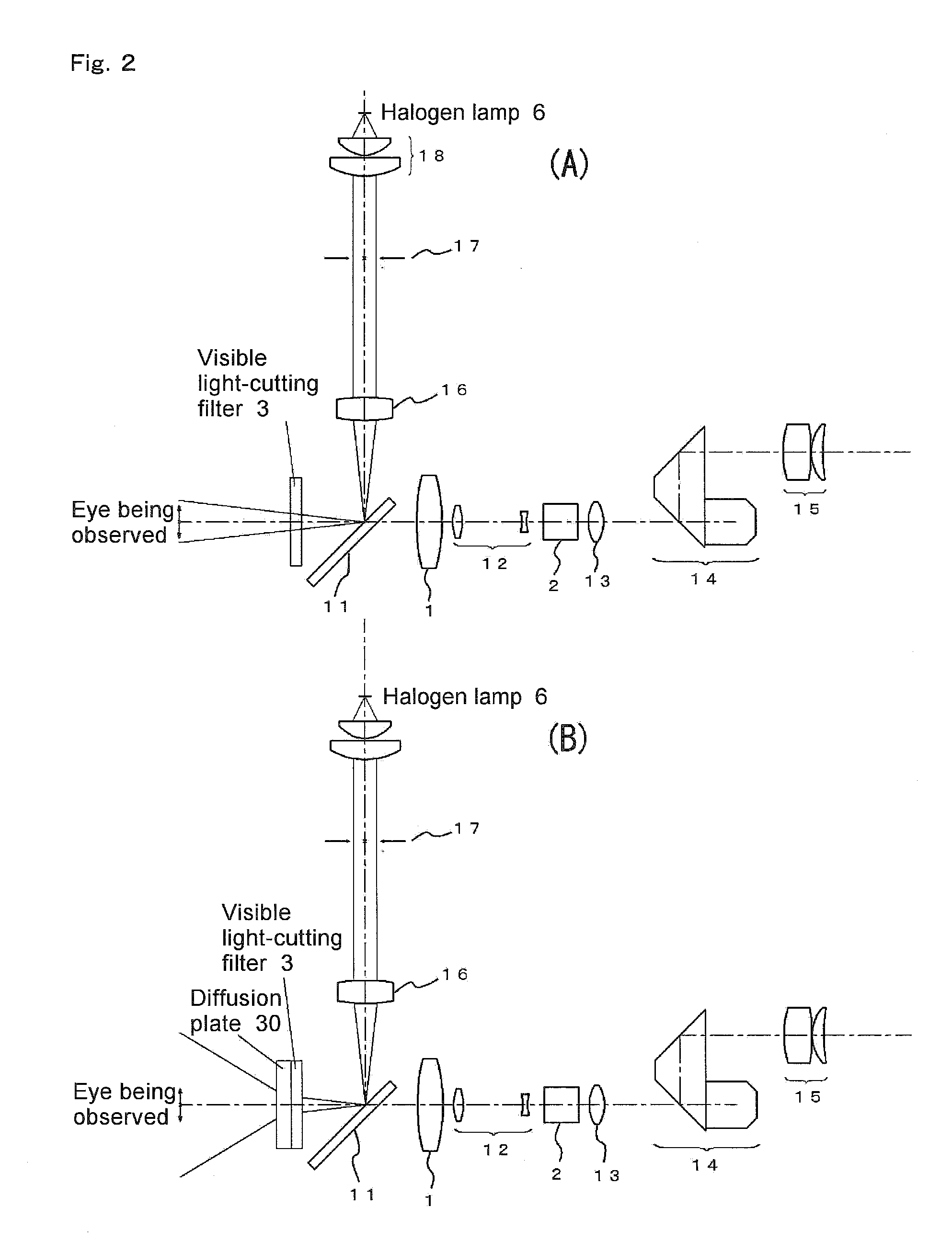 Meibomian gland observing device