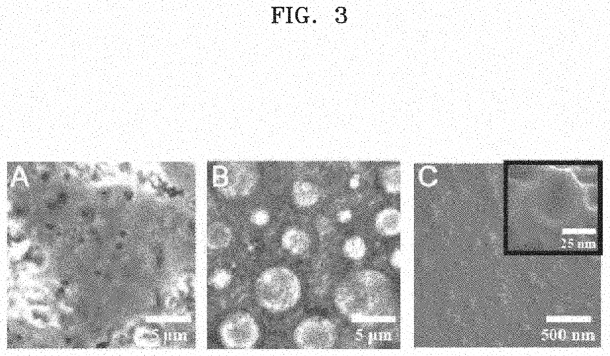 Hydrogel-based nanoenulsion for selectively labeling cancer lesion, and preparation method therefor