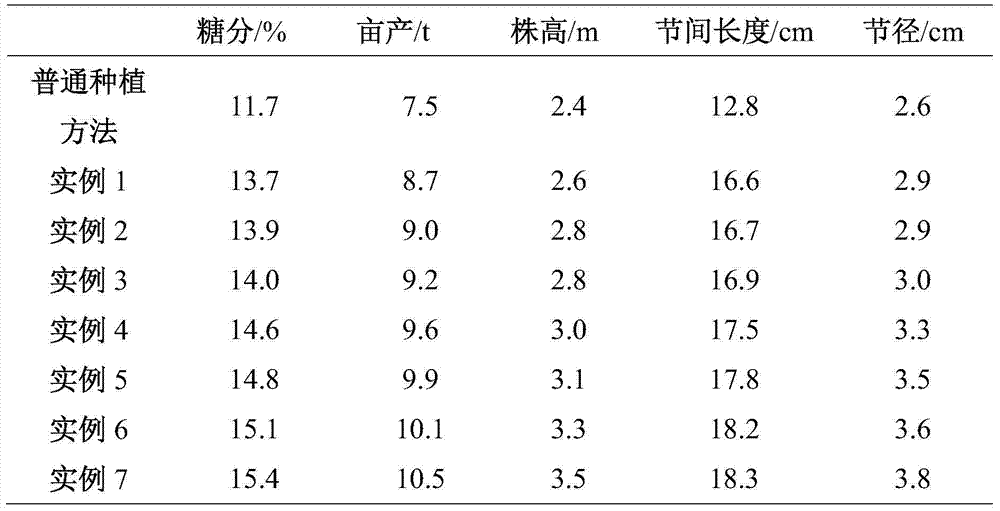 High-yield cultivation method for sugarcanes