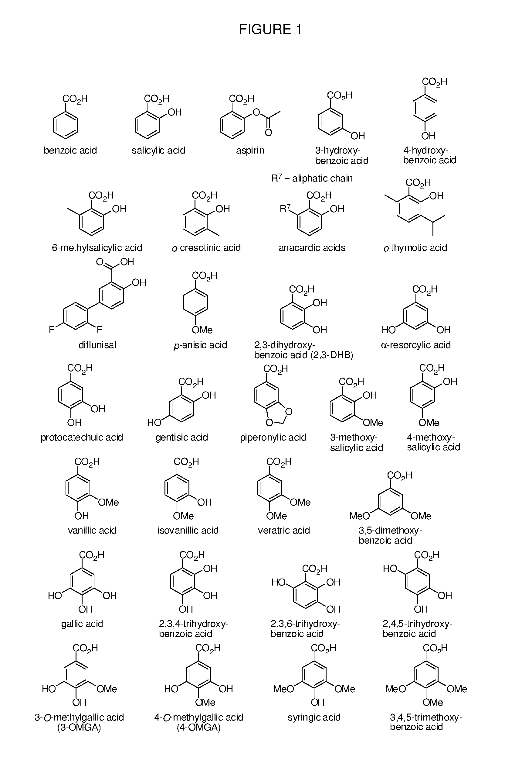 Benzoic acid, benzoic acid derivatives and heteroaryl carboxylic acid conjugates of oxycodone, prodrugs, methods of making and use thereof