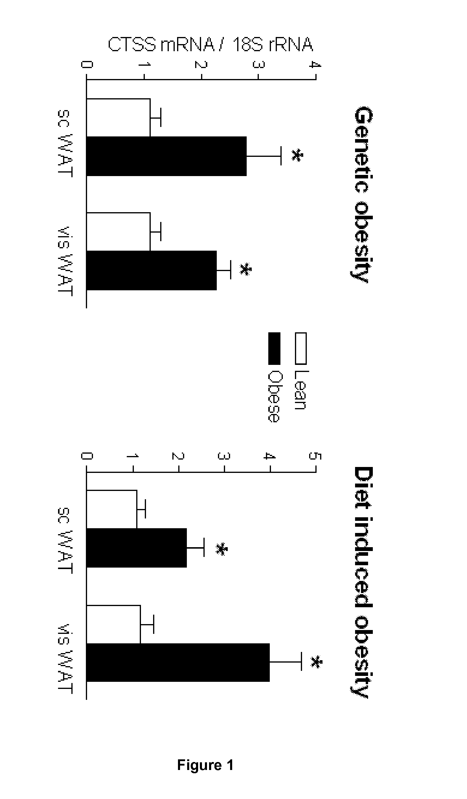 Inhibitors of Cathepsin S for Prevention or Treatment of Obesity-Associated Disorders