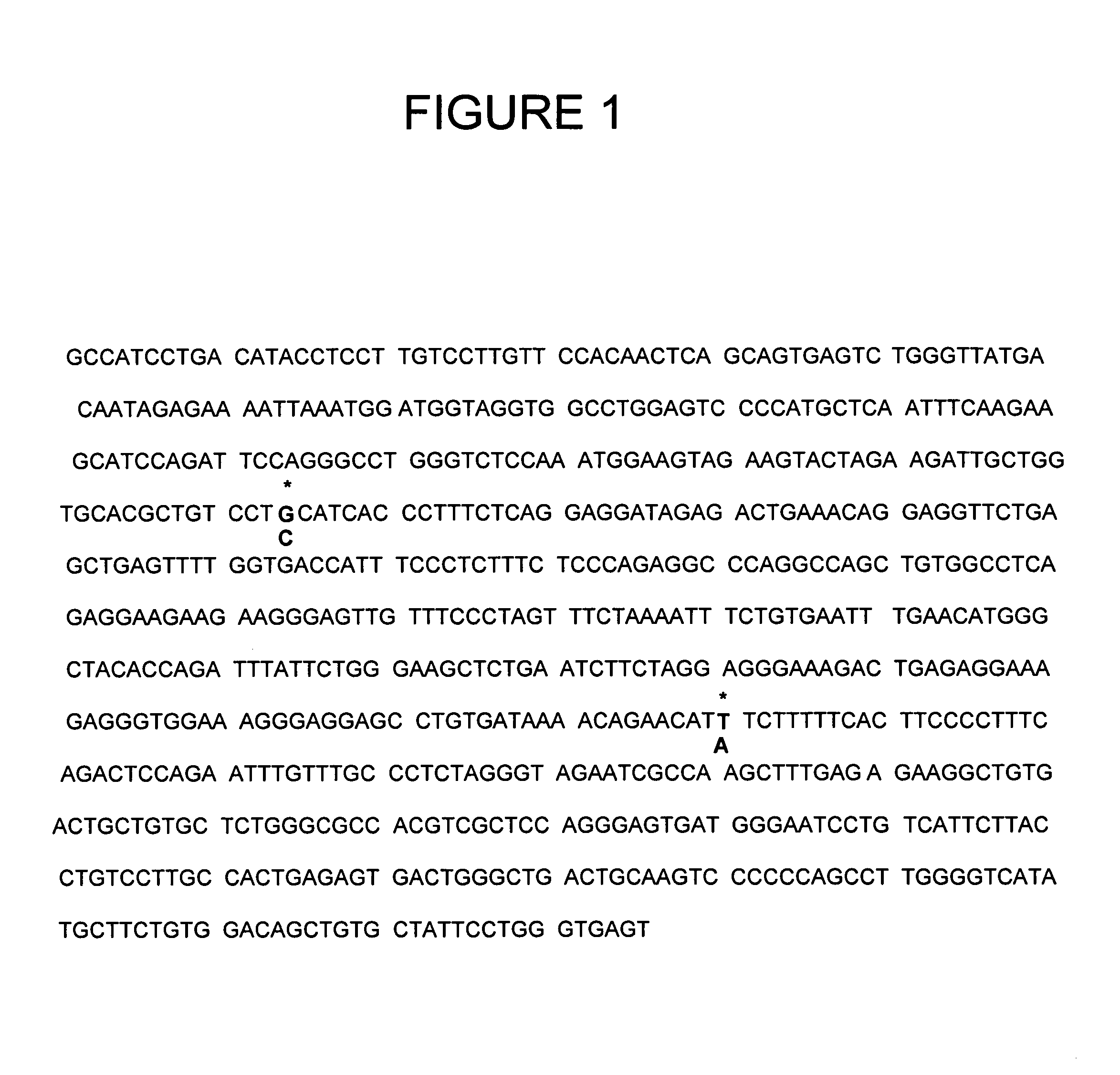 Human FcγRIIB gene polymorphisms for assessing development of systemic lupus erythematosus and compositions for use thereof