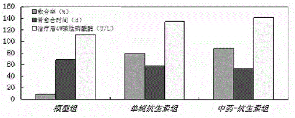 Implantable kidney-tonifying bone-invigorating traditional Chinese medicine extract-antibiotic-calcium sulfate sustained-release system, and preparation method and application thereof