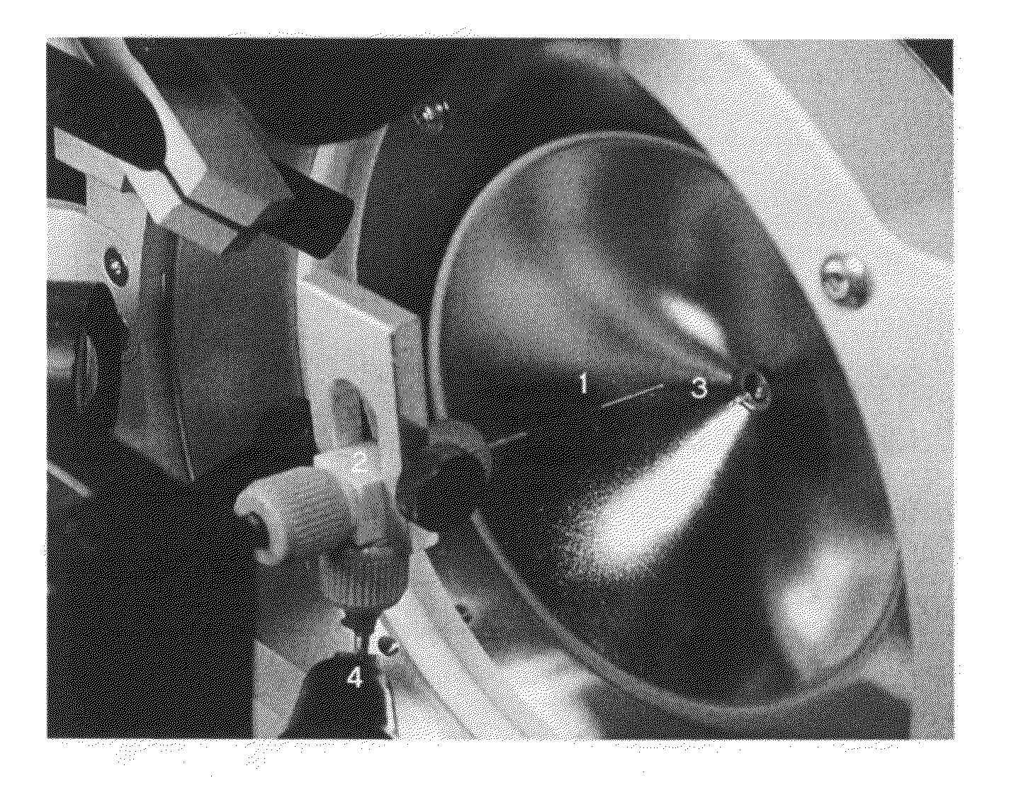 Multi-Channel Electrospray Emitter