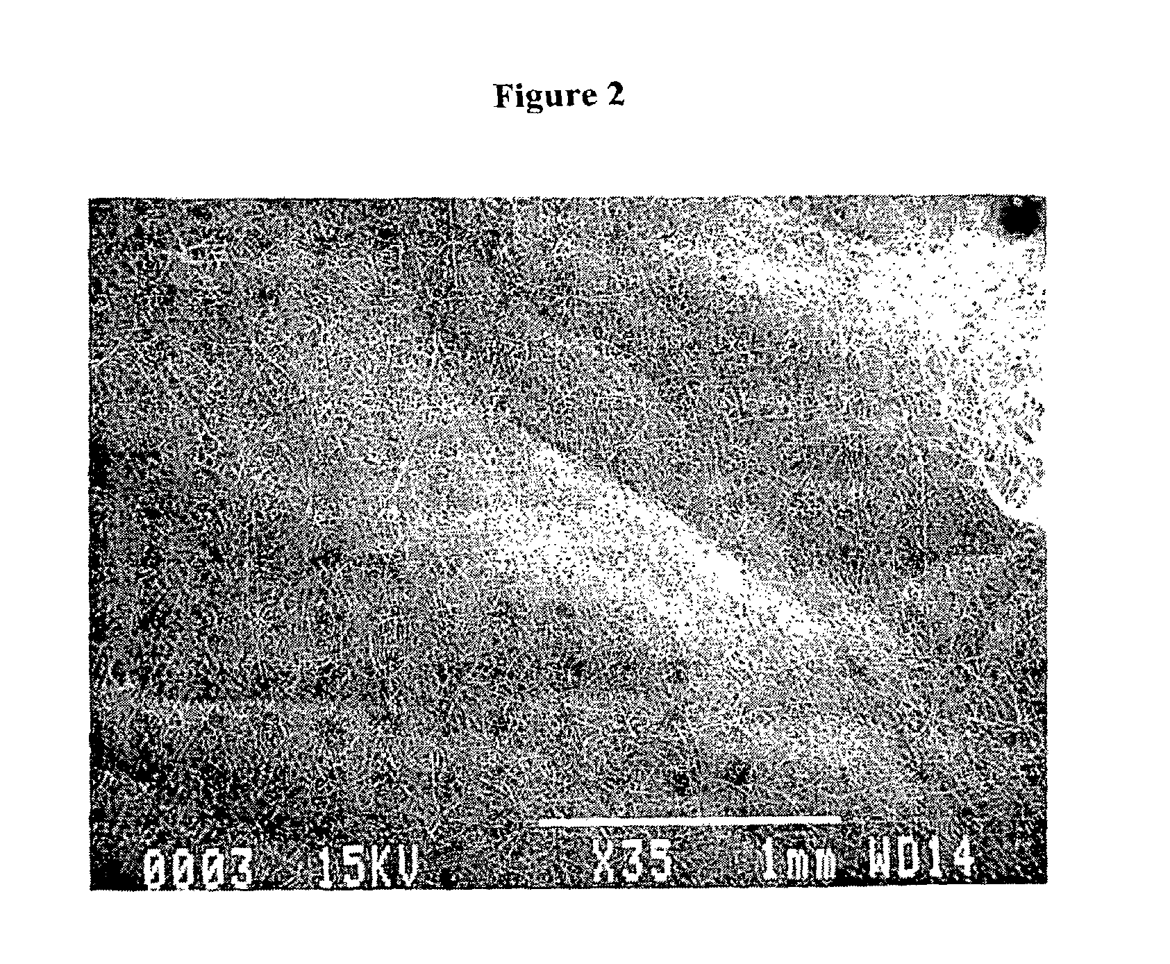 Sealants for Skin and Other Tissues