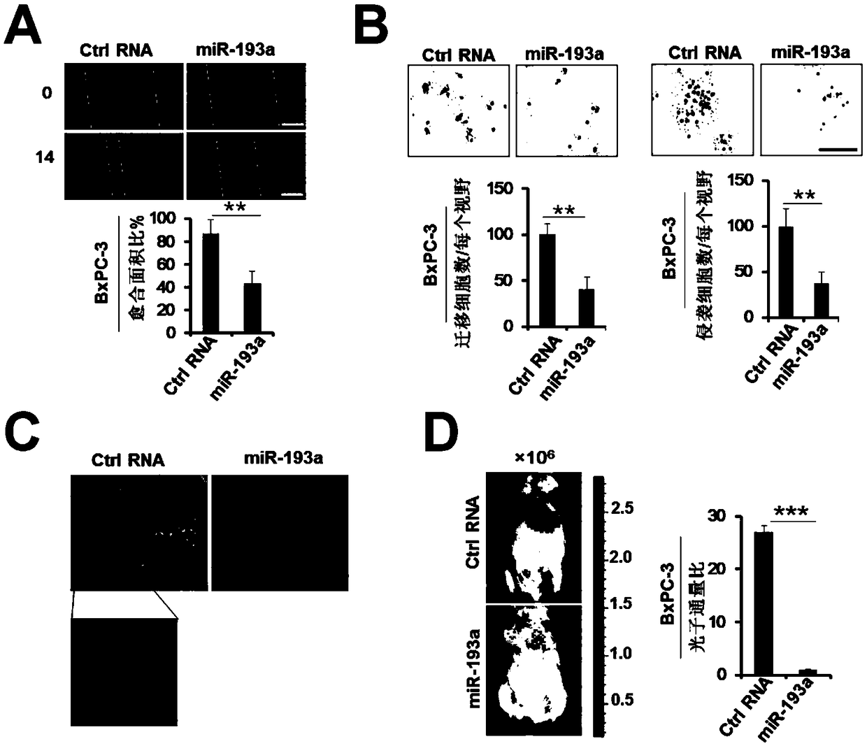 Applications of mir-193a-3p