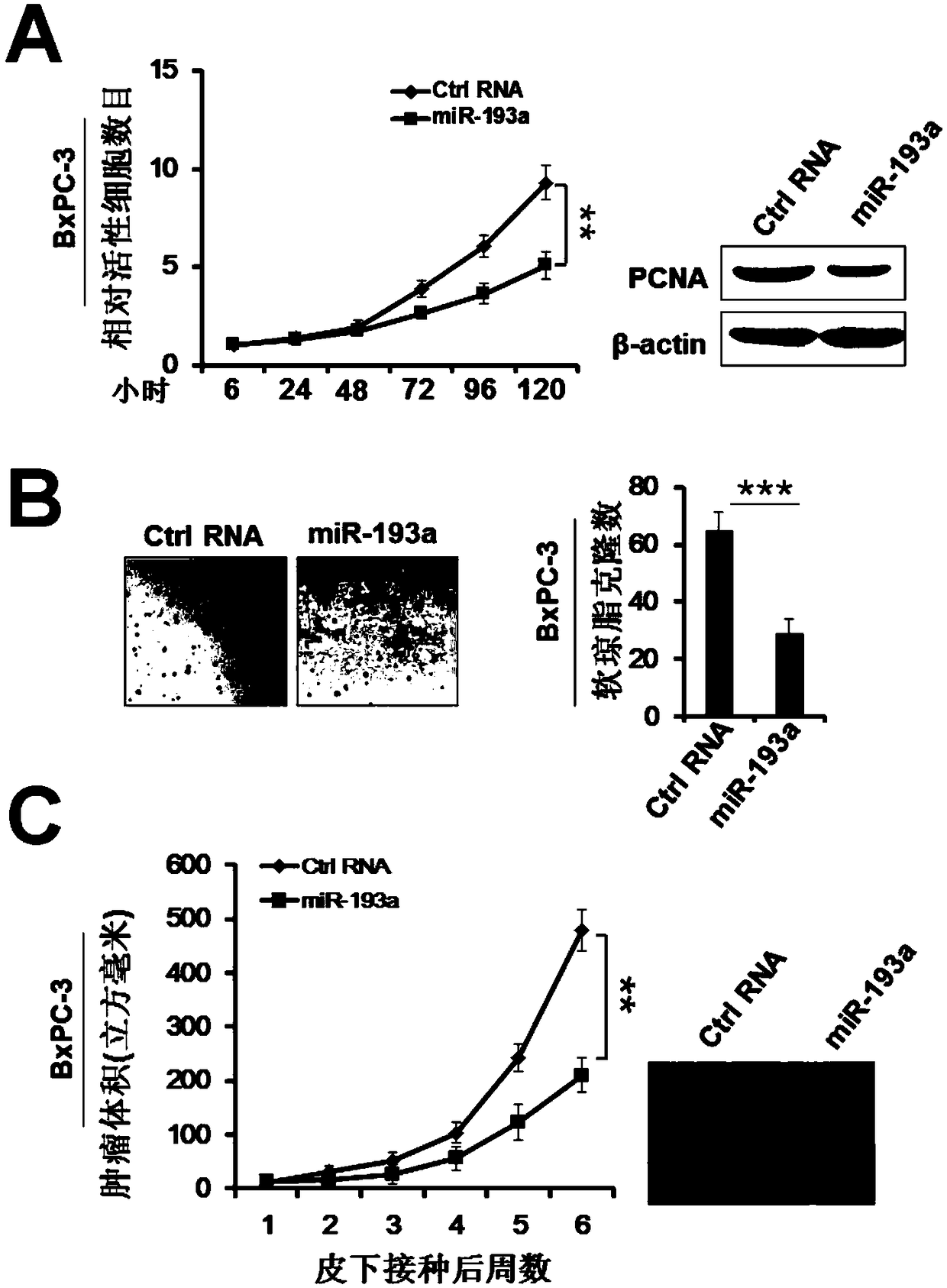 Applications of mir-193a-3p