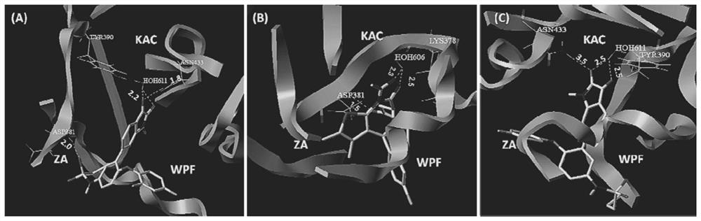 Isatin compound and its preparation method and application