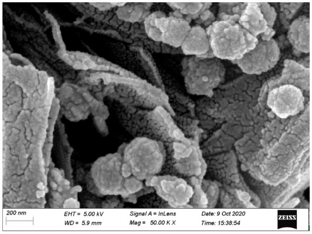 Method for detecting sulfonamide antibiotics in biogas slurry and sample treatment method