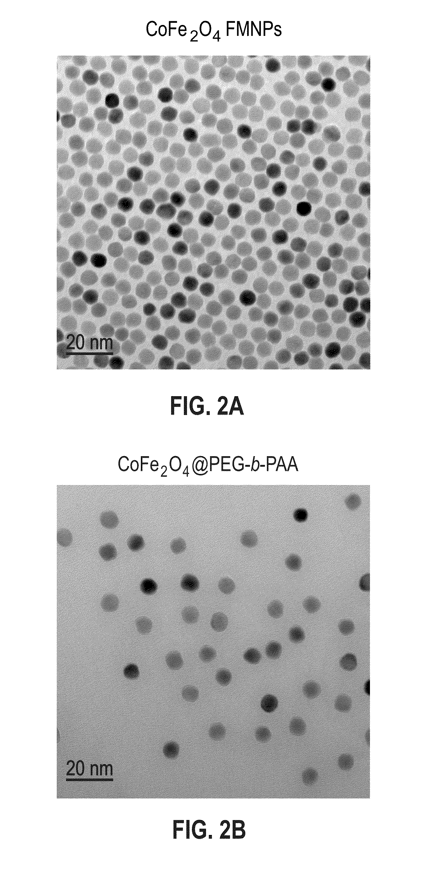 Aqueous soluble ferrimagnets stabilized by block copolymers