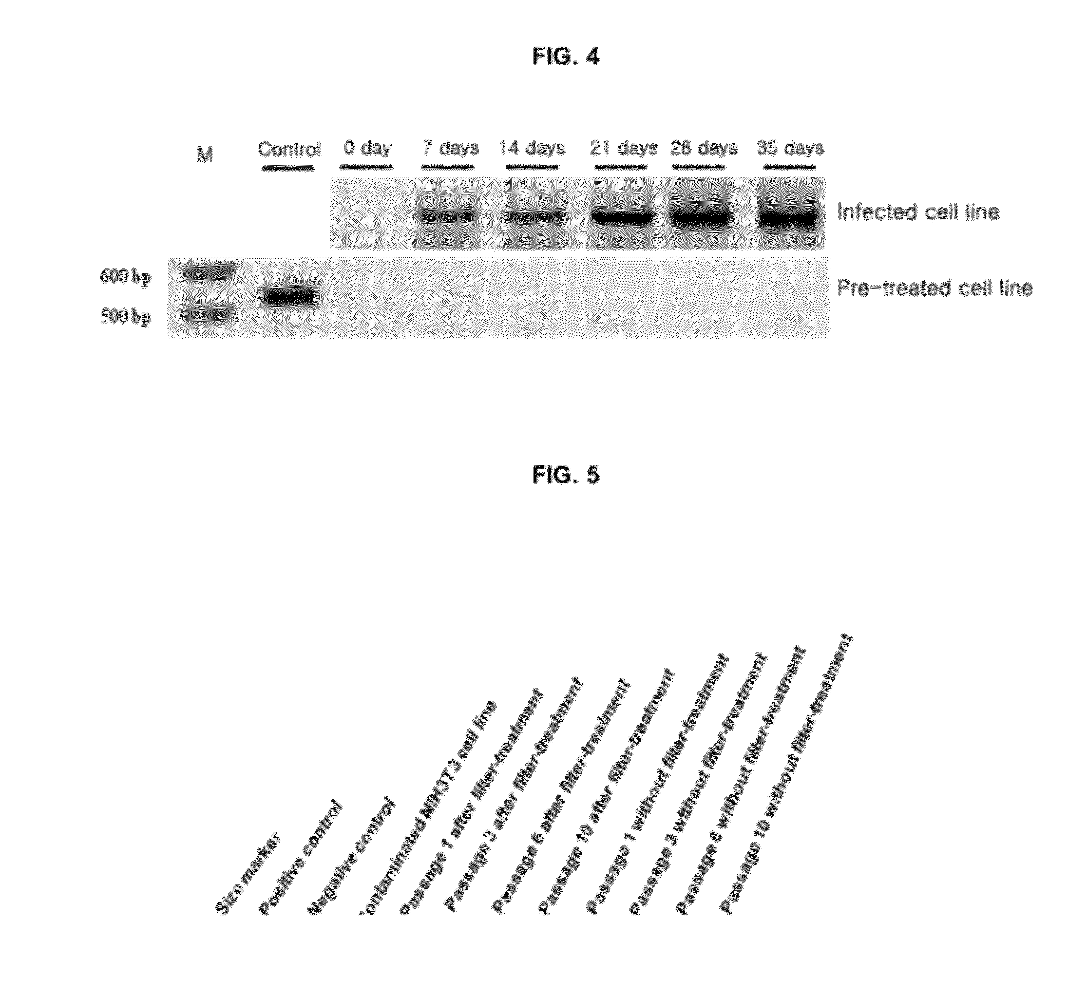 Method for culturing mycoplasma contamination-free cells and method for removing mycoplasma contamination of cells