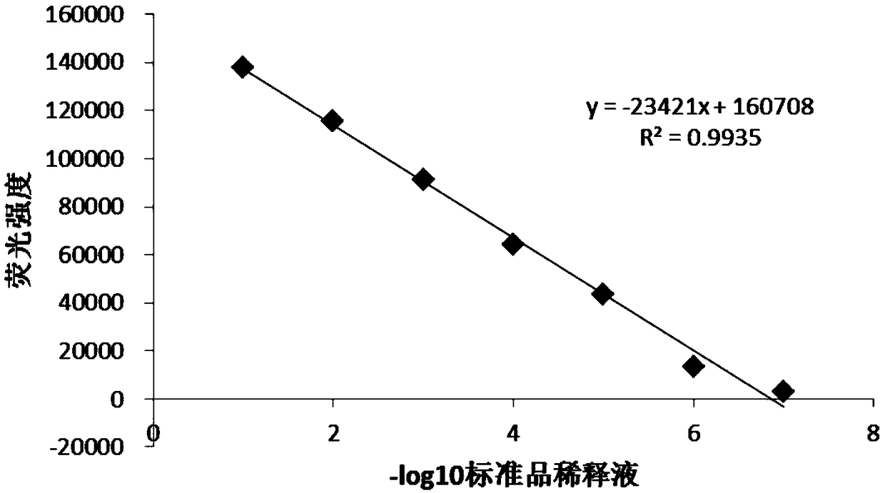 Detection method for biological activity of sheep interferon tau through luciferase reporter gene method