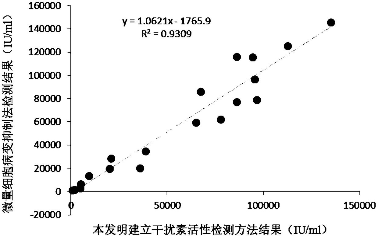 Detection method for biological activity of sheep interferon tau through luciferase reporter gene method