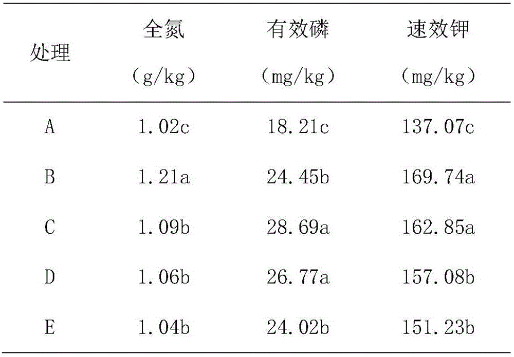 Functional fertilizer for regulating micro-ecological environment of soil