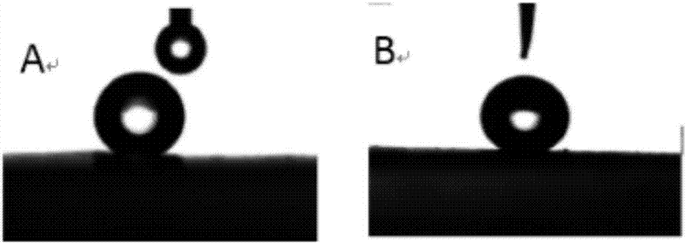 Nanopowder hydrophobicity and lipophobicity modification method