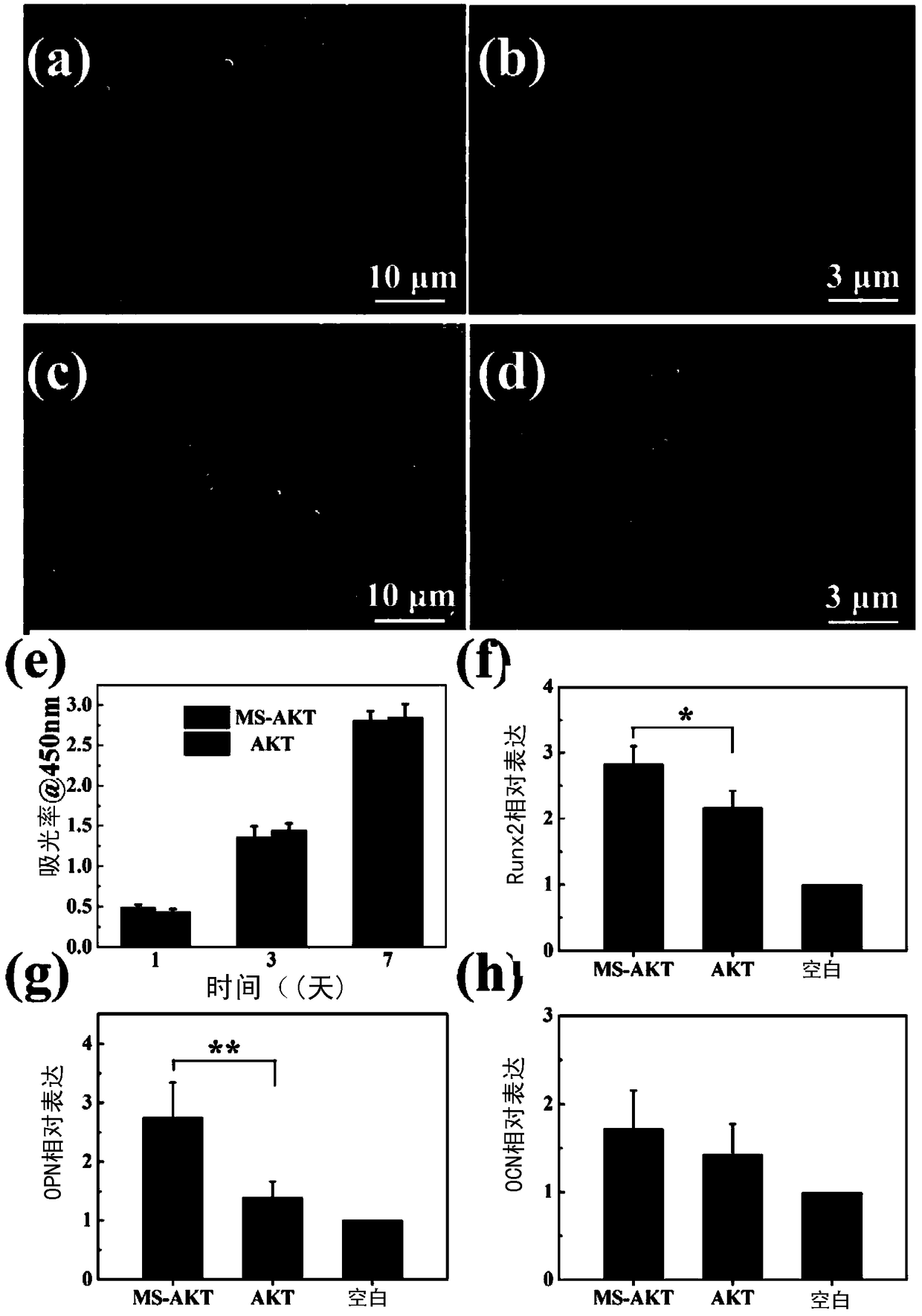 Molybdenum disulfide nano-sheet in-situ modified biological ceramic stent, preparation method and applications thereof