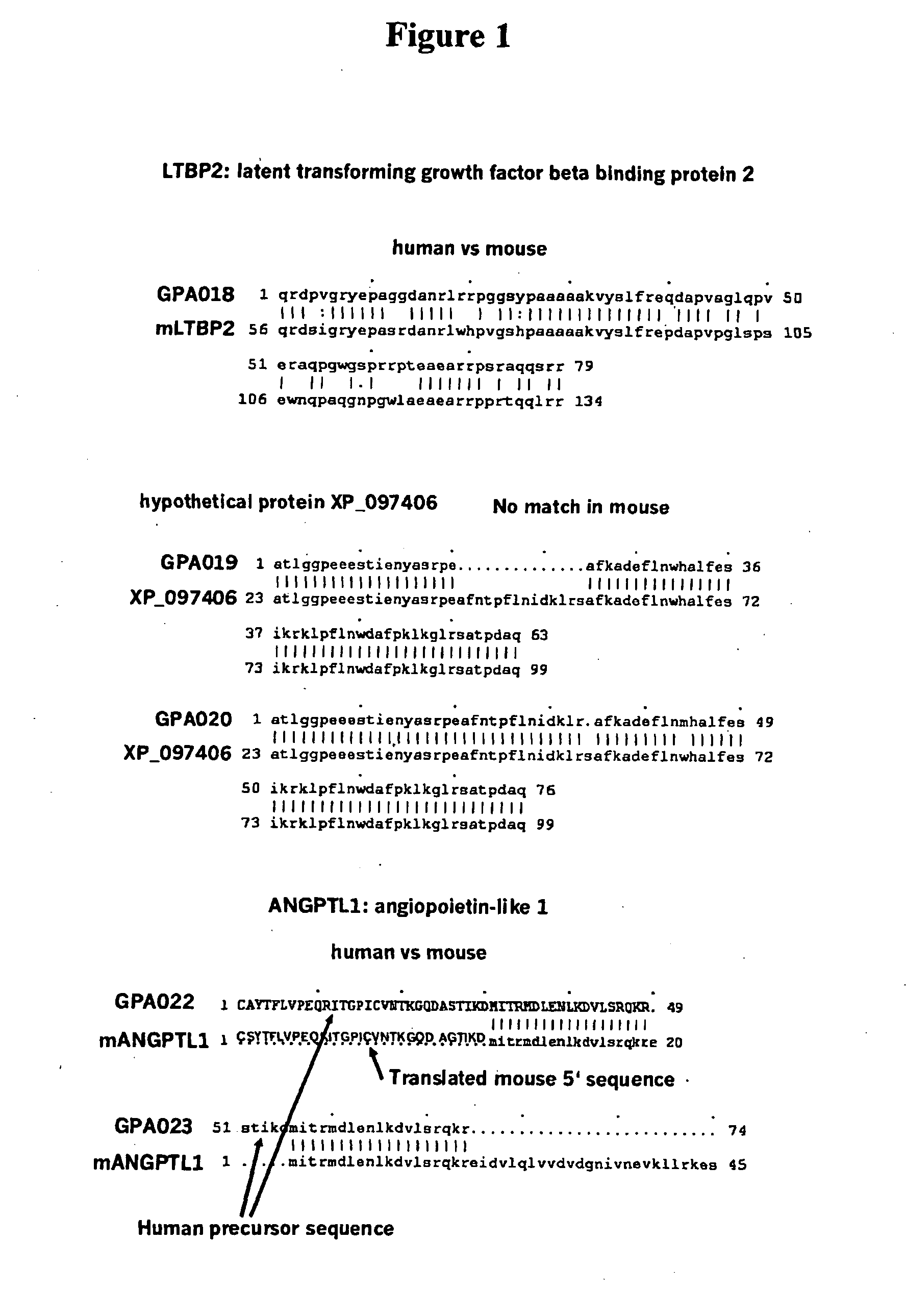 Use of Fibroblast Growth Factor Fragments