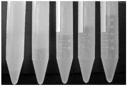 Arabic gum component grading method as well as product thereby and application of product