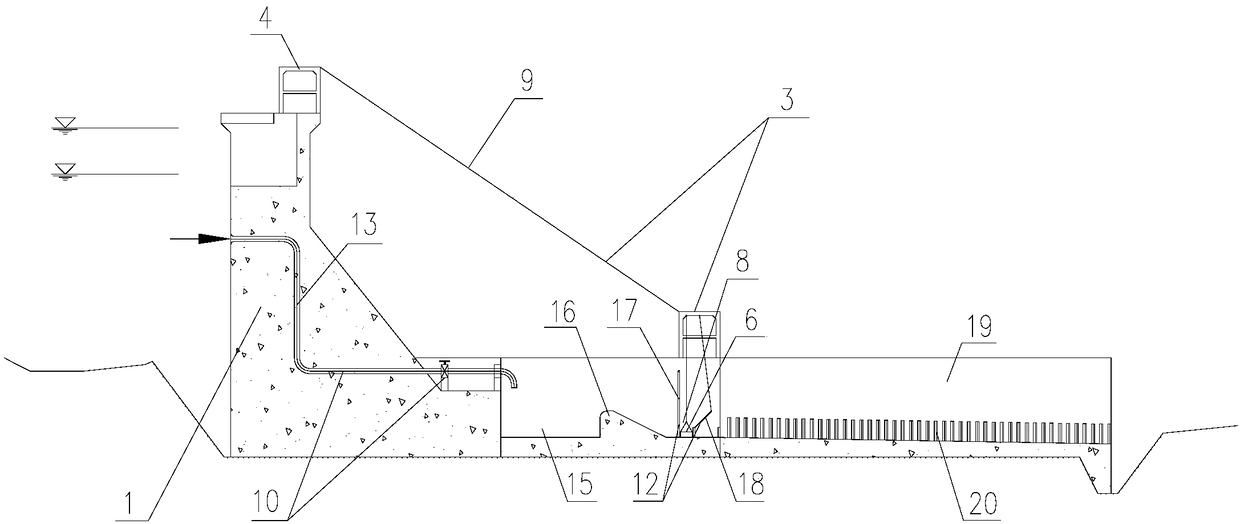 Fish passing system for water conservancy project of intercepting dam