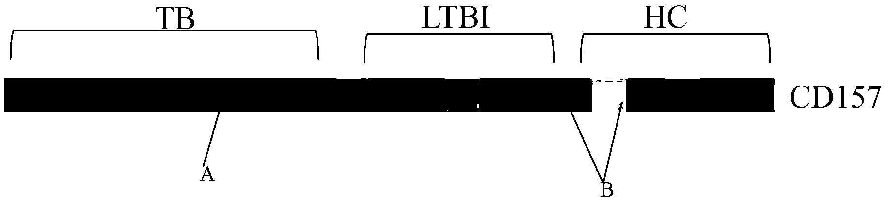 Use of CD157 gene