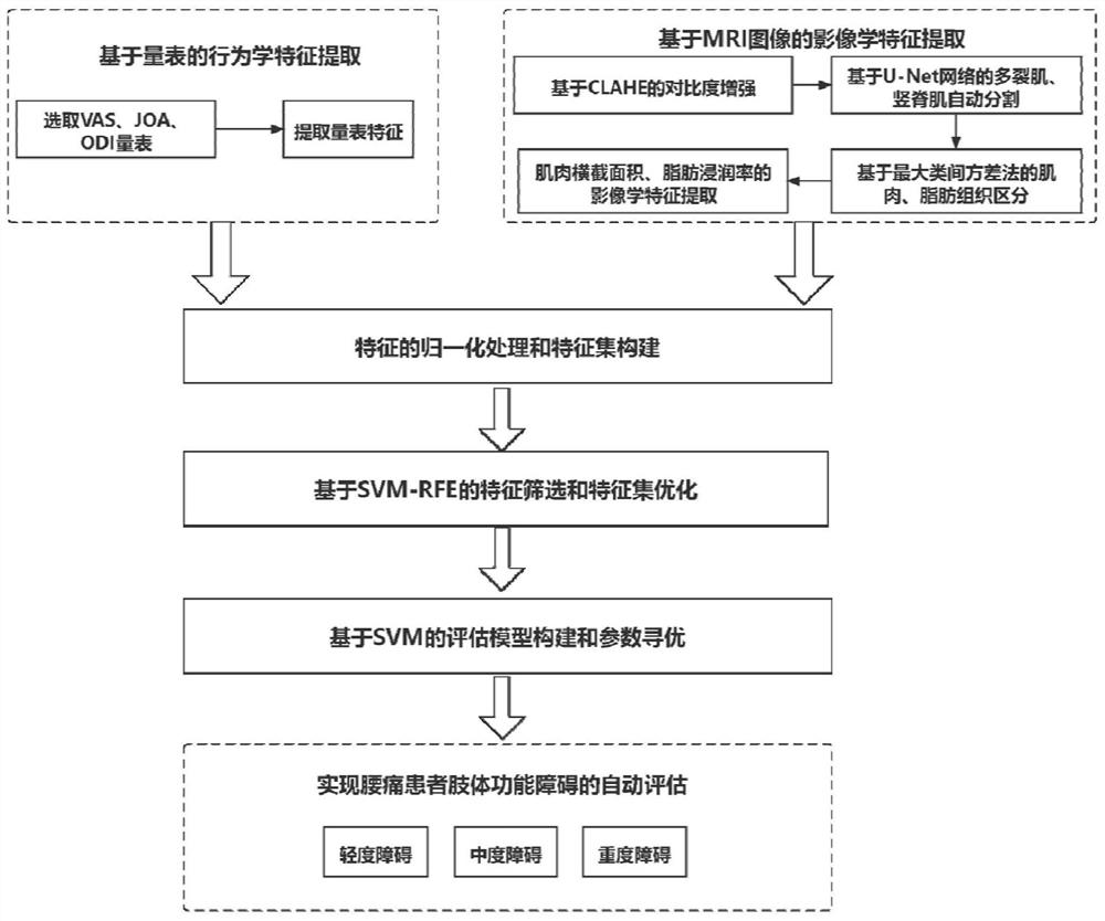 Multi-source feature-based automatic assessment method for limb dysfunction of lumbago patient