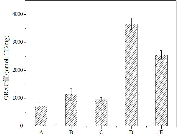 Antioxidant peptide of walnut meal and preparation method thereof