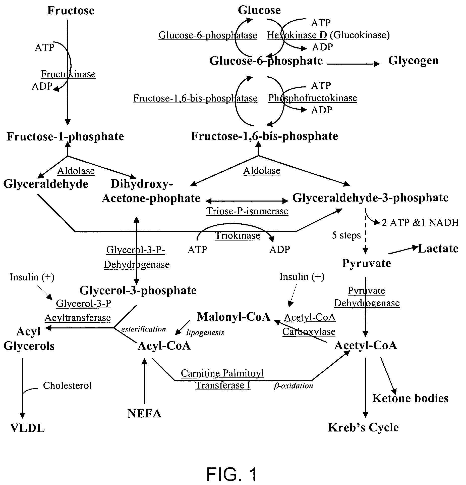 Formulation for use in the prevention and treatment of carbohydrate induced diseases and conditions