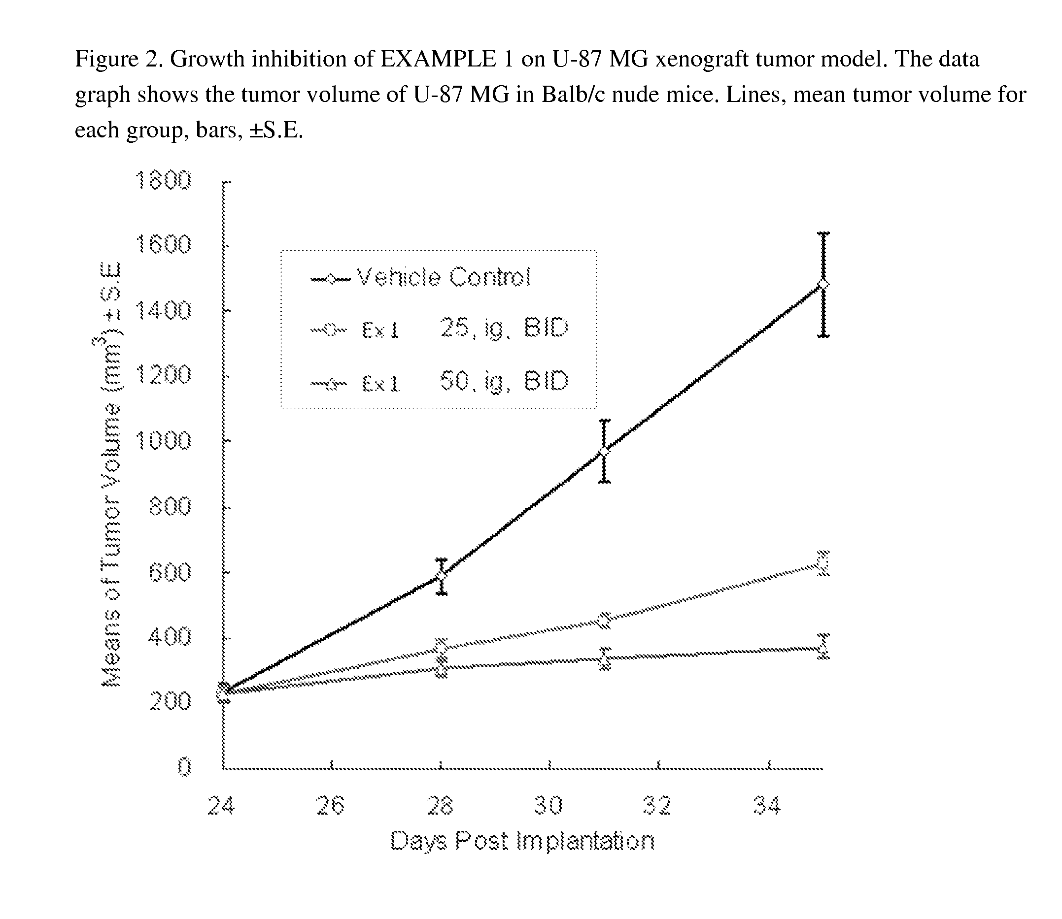 Substituted pyridazine carboxamide compounds as kinase inhibitor compounds