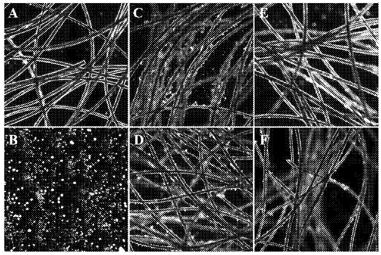 Composition, particulate materials and methods for making particulate materials