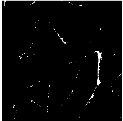 Fluorescent probe for marking and tracking cytoplasmic membranes and preparation method of fluorescent probe