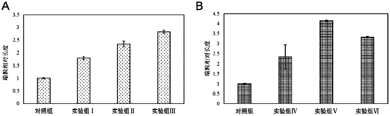 Mixtures of ginsenosides and their use as bidirectional telomere modulators