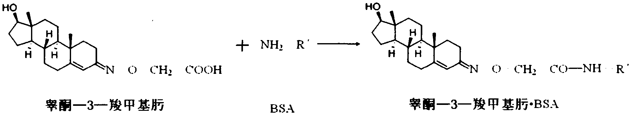 Production process of sheep and goat steroid hormone antigen twins vaccine