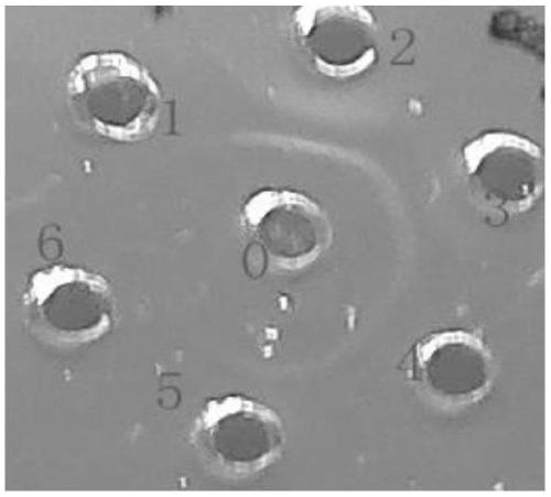 Preparation method of high-potency positive serum for porcine pseudorabies virus