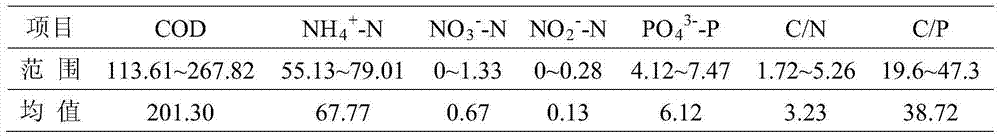 A2/O-bio-contact oxidation device and method based on coupling of partial nitrification denitrifying dephosphatation