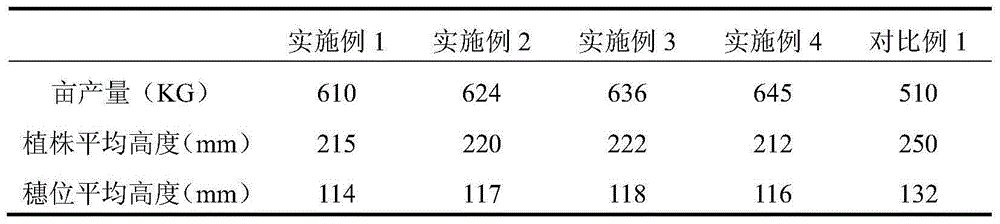 Microorganism fertilizer for promoting crop growth and preparation method therefor