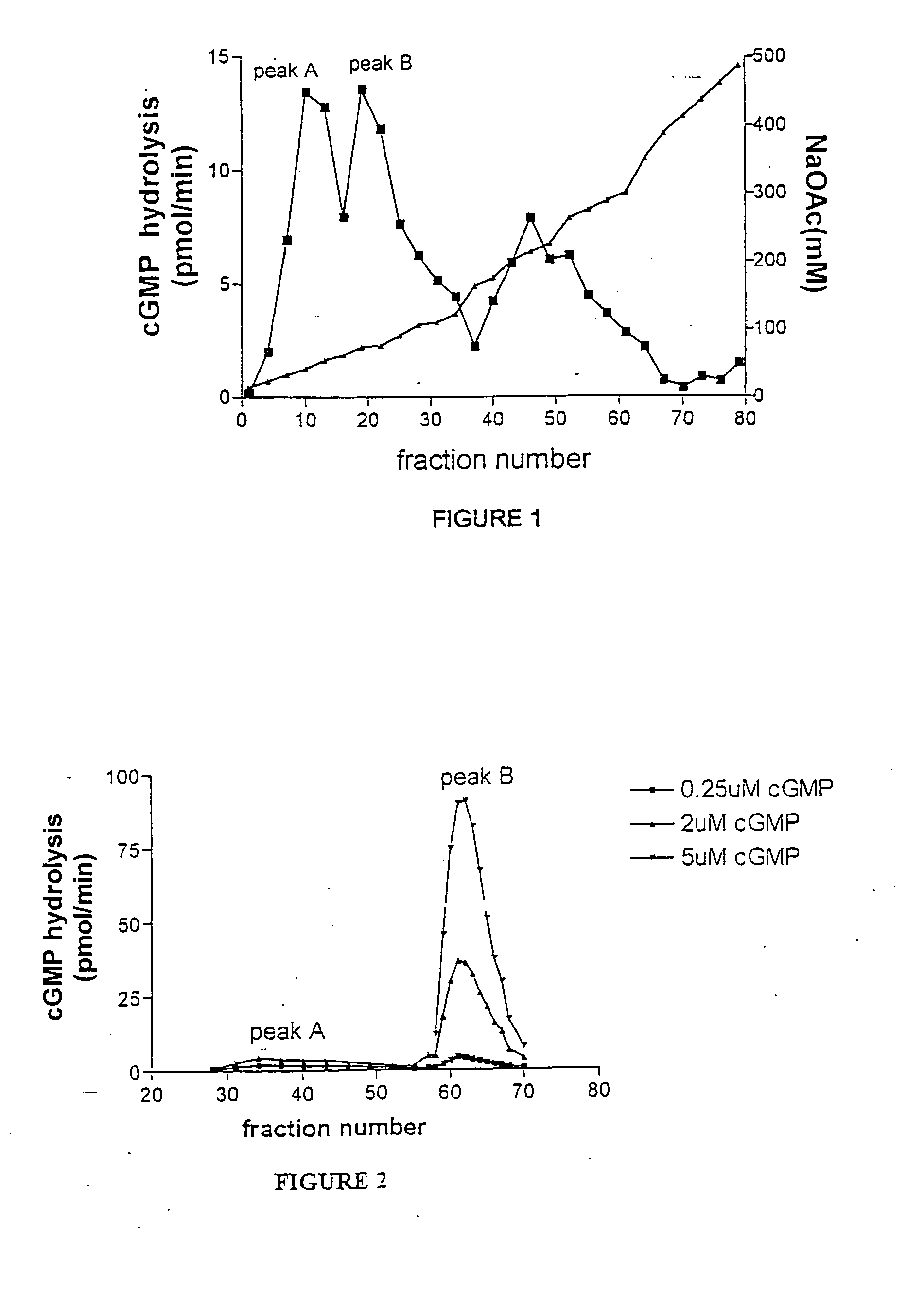 Methods for identifying compounds for inhibition of neoplastic lesions, and pharmaceutical compositions containing such compounds