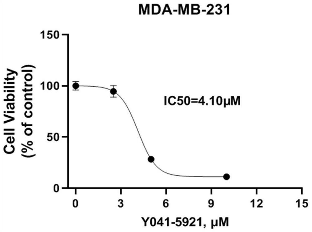 Application of y041-5921 in the preparation of antitumor drugs