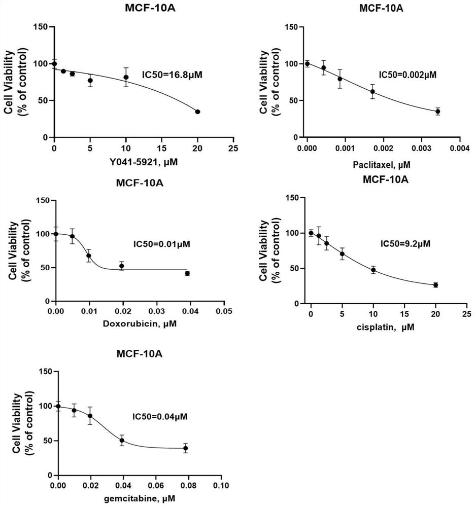 Application of y041-5921 in the preparation of antitumor drugs